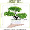 Artificial Plants Bonsai Simulated Tree Potted Fake Flowers Table Porch Potted Ornaments Home Wedding Decor Housewarming Gift